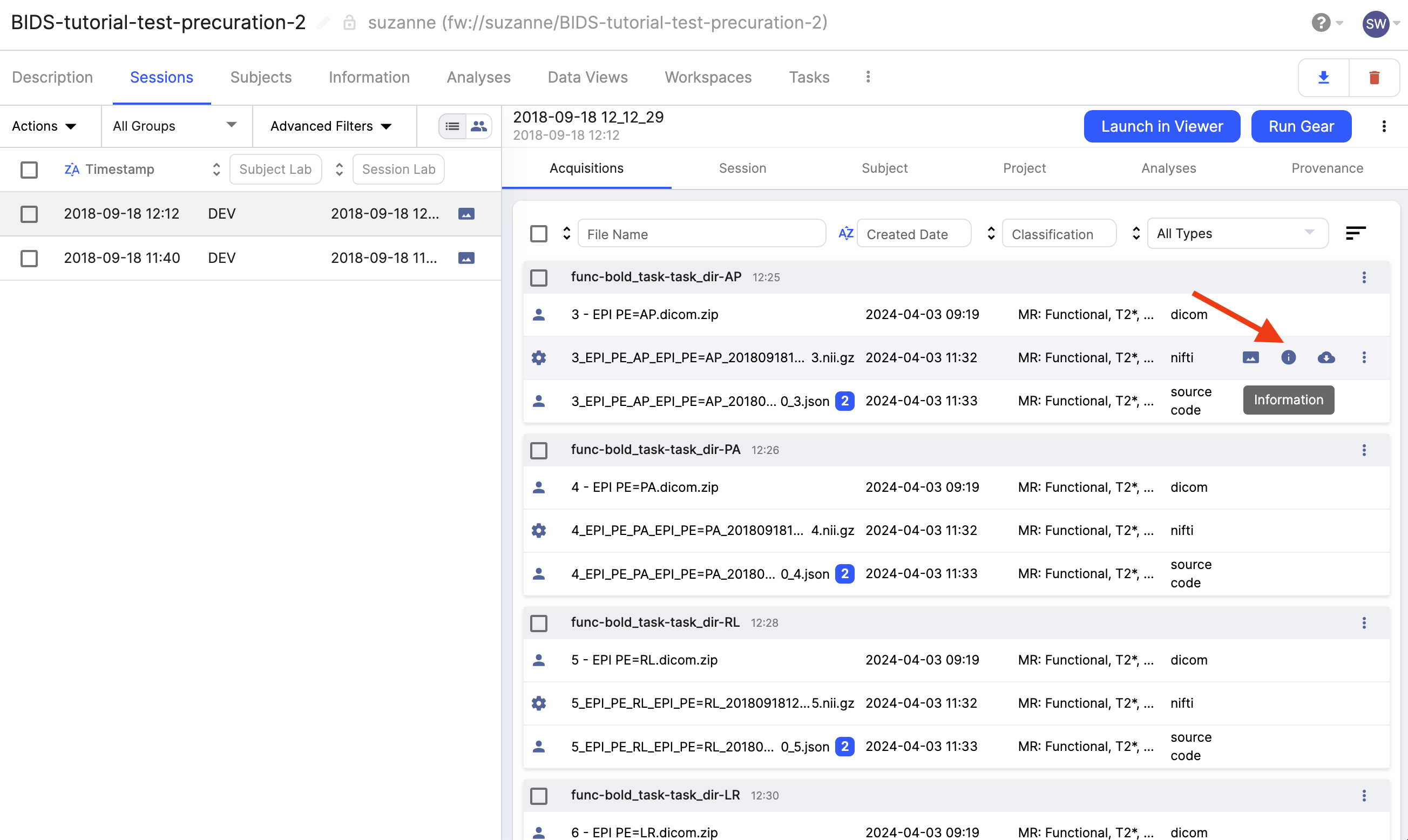 003a-Dataset2-BIDS-curation-review.png