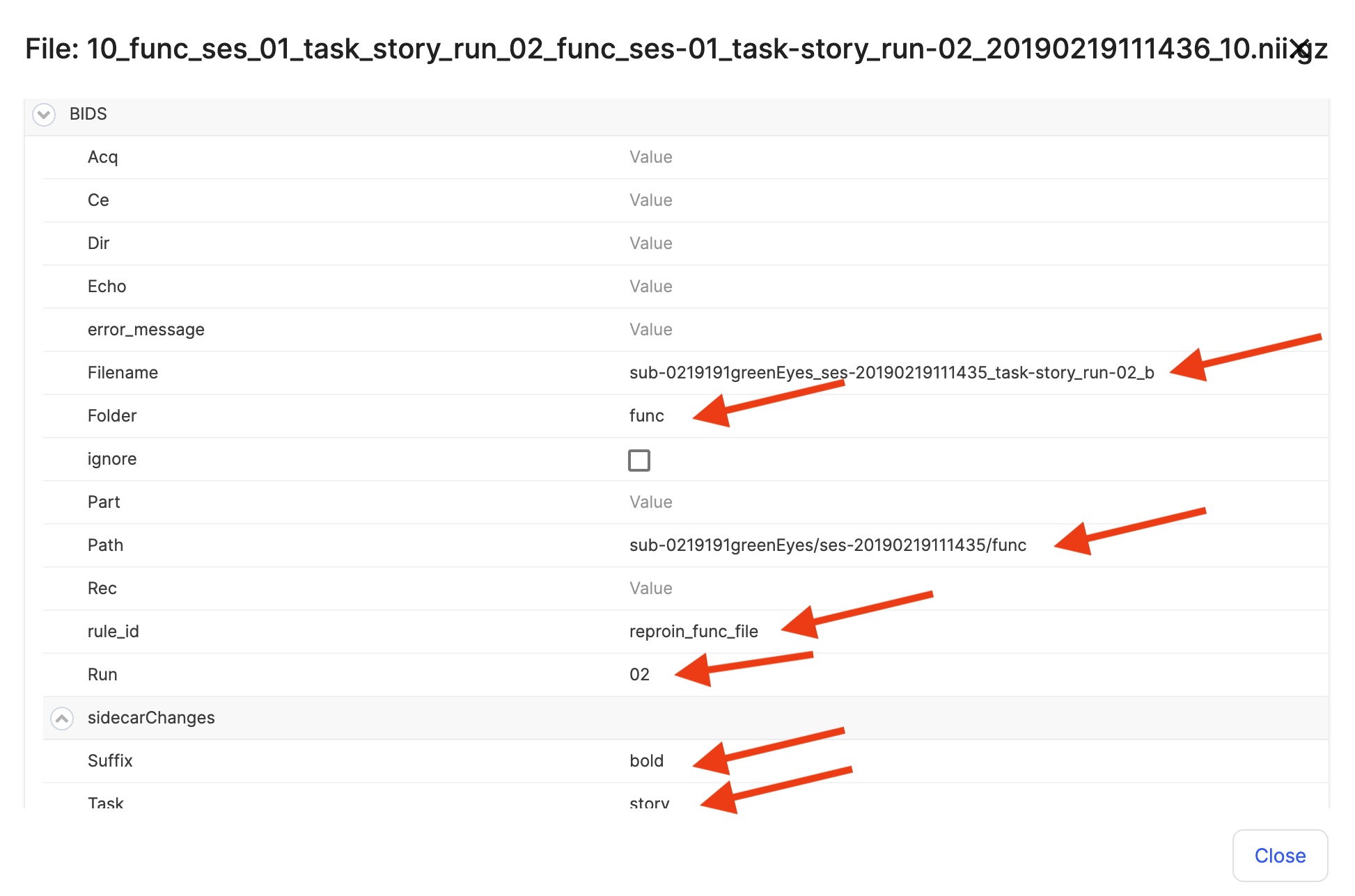 003b-Dataset1-BIDS-curation-review.png