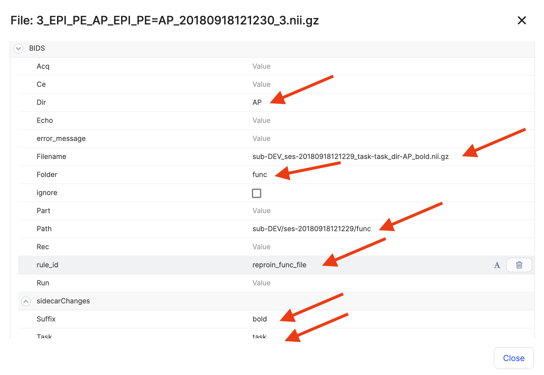 003b-Dataset2-BIDS-curation-review.png