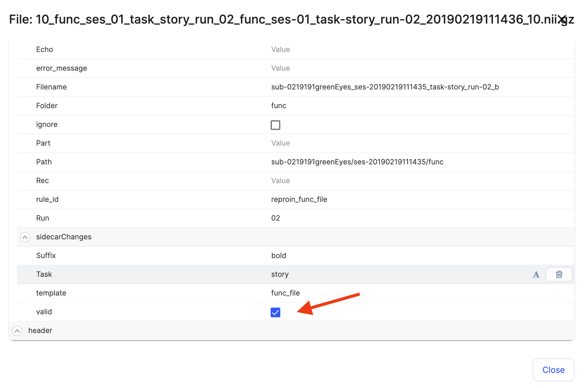 003c-Dataset1-BIDS-curation-review.png