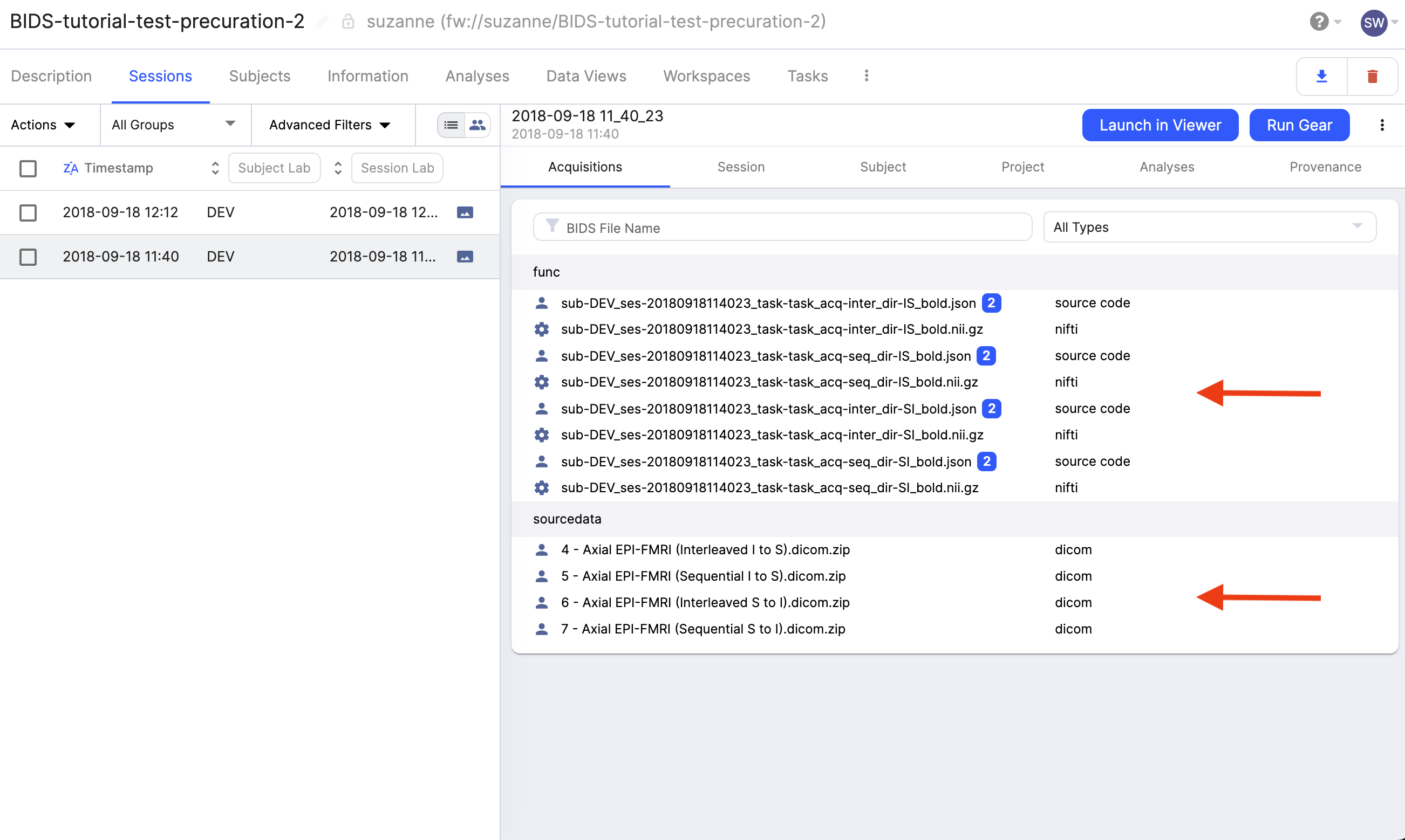 003g-Dataset2-BIDS-curation-review.png