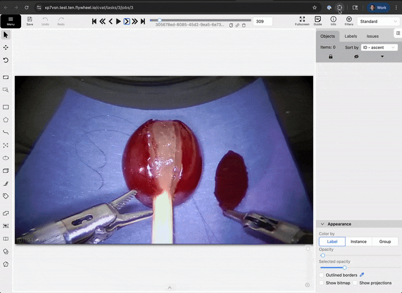 CVAT Simple Annotation Demo